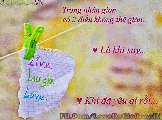 Giay dan tuong 