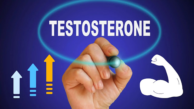 About Raising The Levels Of Testosterone Hormone