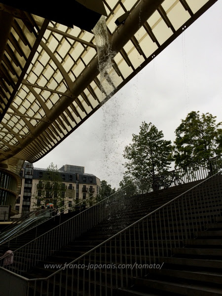 パリ モザイク やっぱり雨漏りのレアル