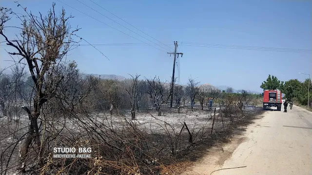 Και δεύτερη φωτιά στη Νέα Κίο