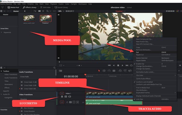 silenziare audio con davinci resolve