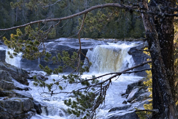 elvelangs hølera