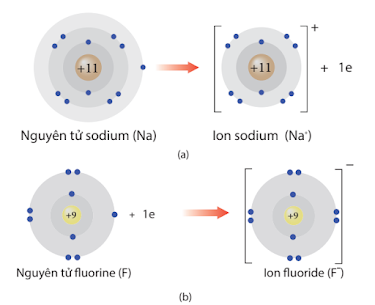 Quá trình nhường, nhận electron của nguyên tử sodium và fluorine