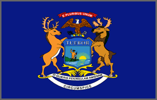 Michigan state flag