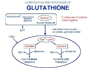 Glutathione Why It Is Troublesome To Respond To The Query What Is Glutathione?