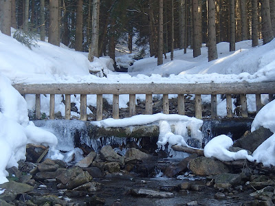 Babia Góra w zimie, zabawy na śniegu, zabawa nad strumykiem