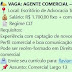 Agente Comercial