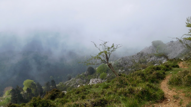 Leungane descenso