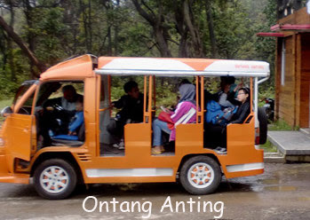 Coba hal unik dan menantang di Kawah Putih Ciwidey