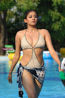 priyamani in bikini,semi nude priyamani,priyamani two piece,hot priyamani gallery,priyamani drona gallery,