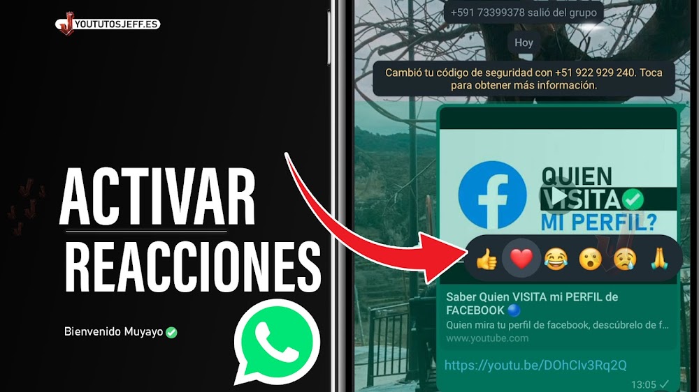 Activar REACCIONES de WHATSAPP