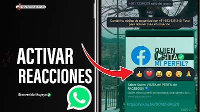 activar reacciones whatsapp