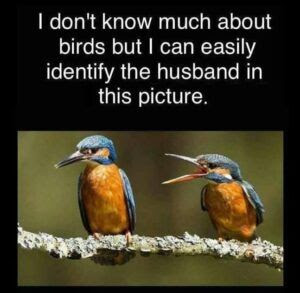 Do not know much about birds BUT...