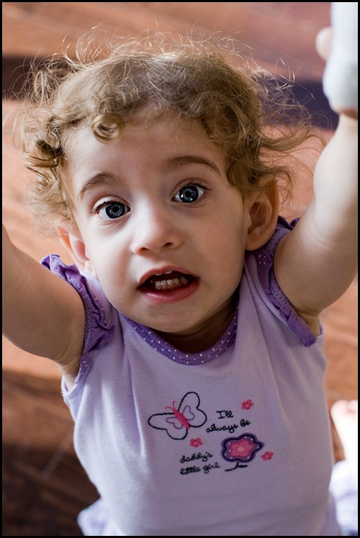 SONY DSC