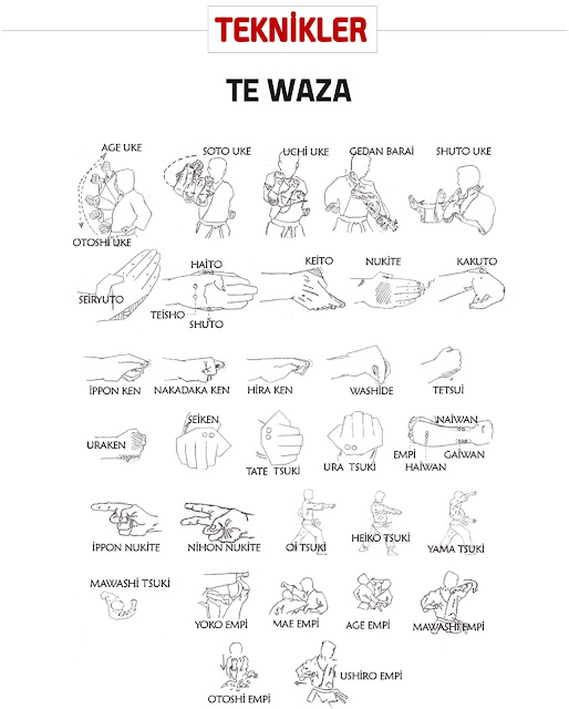 Te-Waza / Teknik Tangan Karate