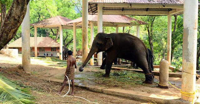 Konni Elephant Reserve