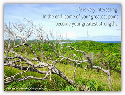 Life is very interesting. In the end, some of your greatest pains become your greatest strengths.