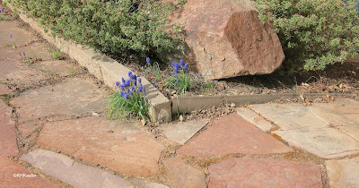 flagstone path