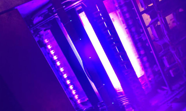 uv lamps