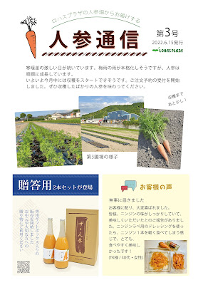 人参通信第3号　愛媛県西条市での無農薬人参作り