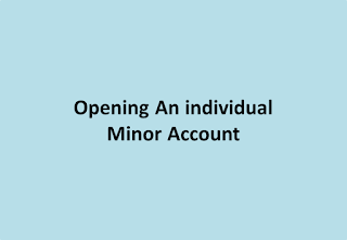 pofinacleguide for Opening An individual Account for Minor whose age is more than 10 Years in dopfinacle