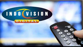 indovision wonosari