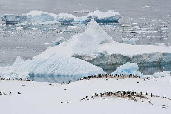 அண்டார்டிகா பற்றிய அறிவியல் உண்மைகள் | Scientific Facts About Antarctica.