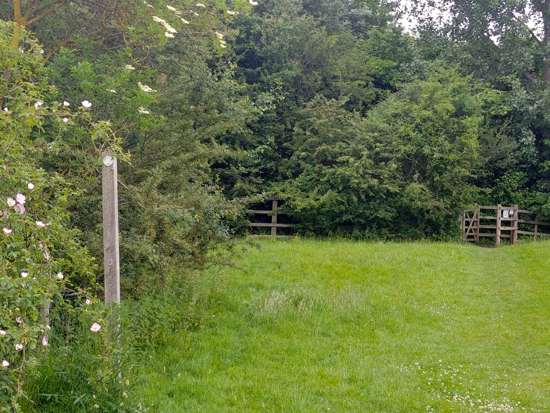 The gate at the end of North Mymms footpath 6, mentioned in point 8 above