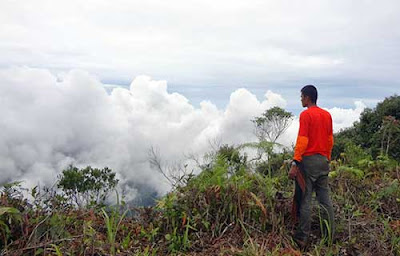 7 Tempat Wisata Di Pekalongan Yang Ramai Di Kunjungi Wisatawan 