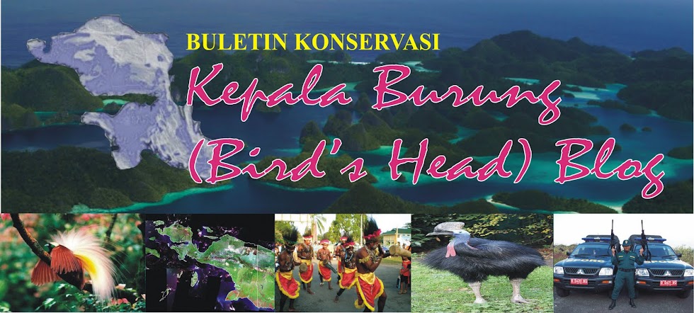 Buletin Konservasi Kepala Burung (Bird's Head) Blog