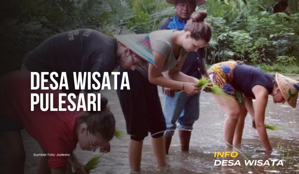 Info Desa Wisata - Desa Wisata Pulesari Sleman Yogyakarta Pesona Lereng Barat Merapi