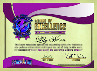 Award of Excellence to Lily Wilson - Certificate designed by Darren Sexton