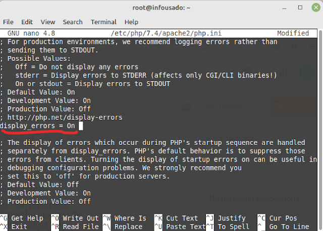 Edição da linha display_errors do php.ini