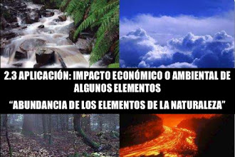 2.3 APLICACIÓN : IMPACTO ECONÓMICO O AMBIENTAL DE ALGUNOS ELEMENTOS .