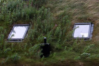 Roofs in Norway Seen On lolpicturegallery.blogspot.com