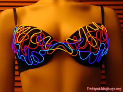 16 fungsi bra, bh, bra