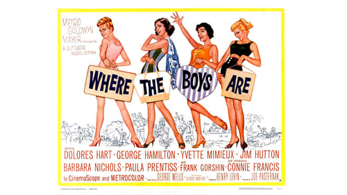 Donde hay chicos hay chicas (Playas de Florida) 1960 online hd subtitulada