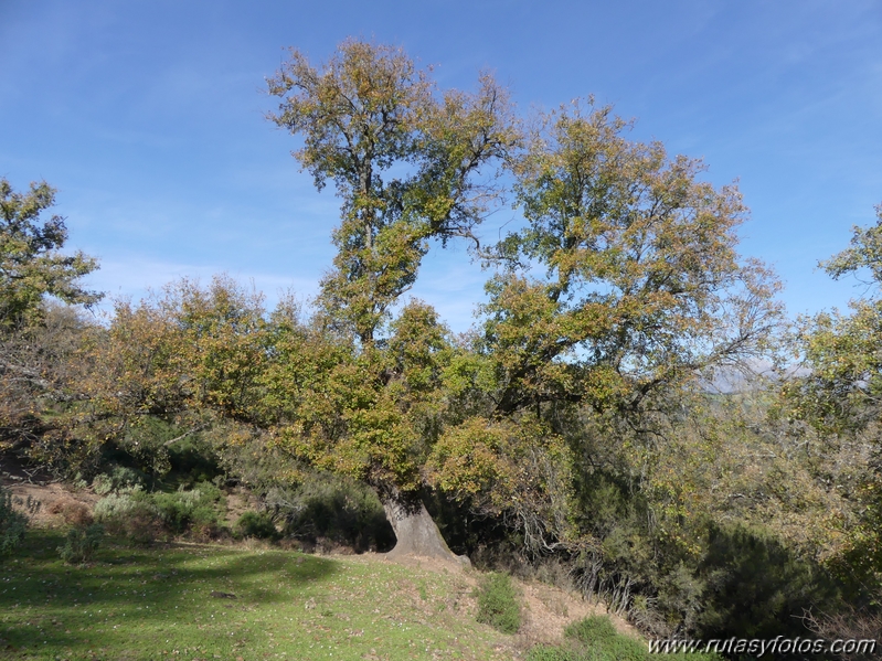 Sierra del Hacho (Gaucín)