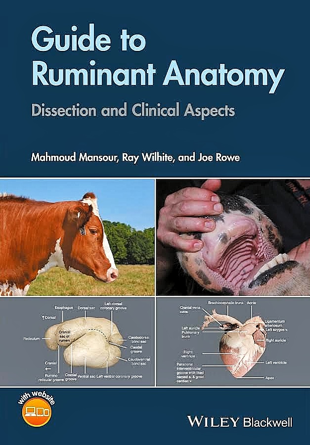 Guide To Ruminal Anatomy Dissection And Clinical Aspects By Mahmoud Mansour, Ray Wilhite And Joe Rowe