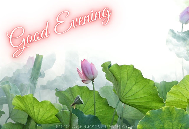 good evening gif images