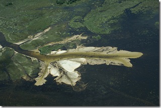 delta