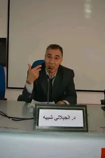 الجيلالي شبيه، دكتور في المالية والقانون، ومؤهل للبحث والتأطير بجامعة باريس، وحاصل على دكتوراه الدولة في العلوم المالية والقانونية بجامعة القاضي عياض، مراكش