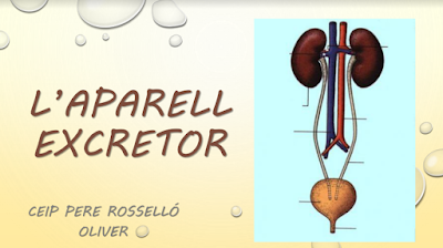 APARELL EXCRETOR