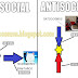 DIFERENCIAS ENTRE ASOCIAL Y ANTISOCIAL. AMIGOS ROBANOVIAS. MEME. PODCAST.