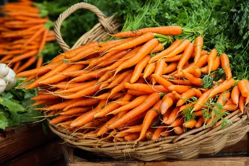 What are the health benefits of carrots? Carrot benefits