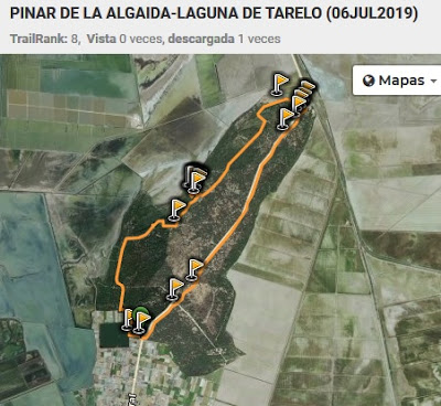 https://es.wikiloc.com/rutas-senderismo/pinar-de-la-algaida-laguna-de-tarelo-sanlucar-de-barrameda-06jul2019-38410286