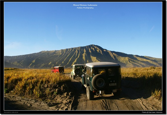 bromo20