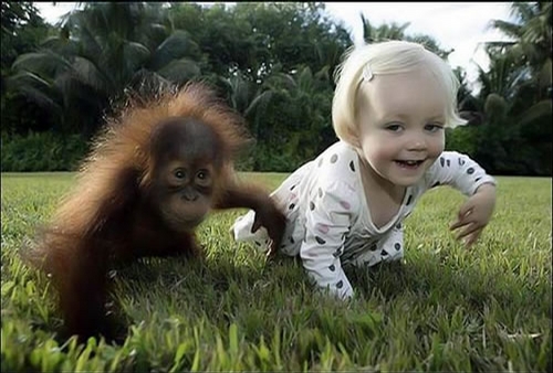 funny kids and animals