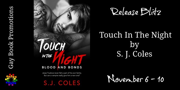 Release Blitz. Touch in the Night by S. J. Coles. November 6 – 10.