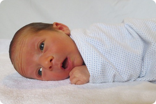 Nehemiah's Newborn Portraits